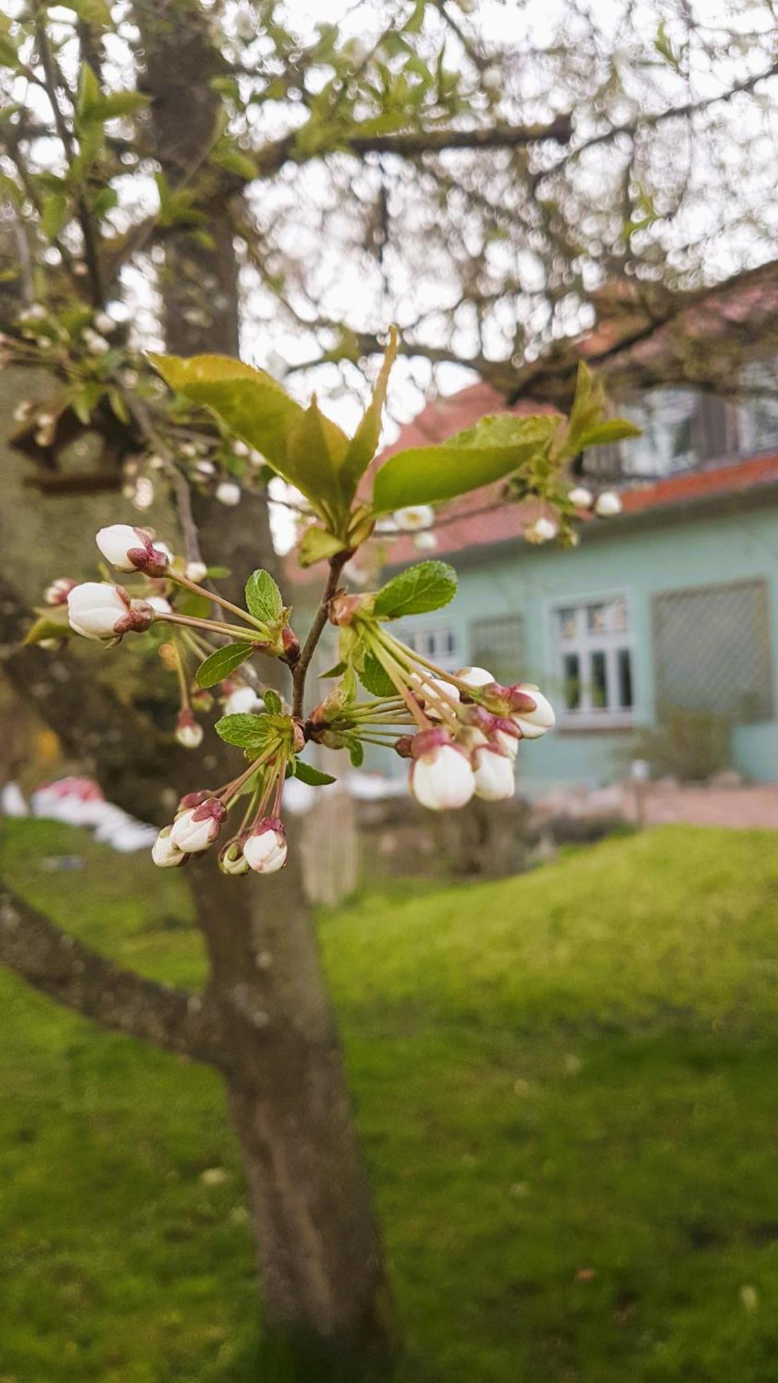 Ferienhaus Salvia Gremersdorf-Buchholz 外观 照片