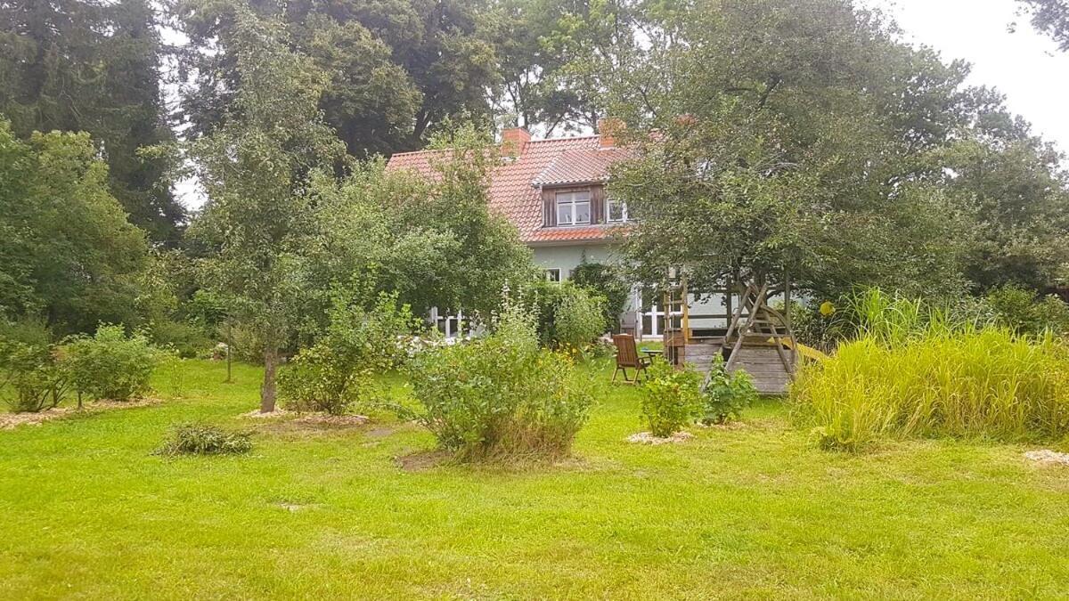 Ferienhaus Salvia Gremersdorf-Buchholz 外观 照片