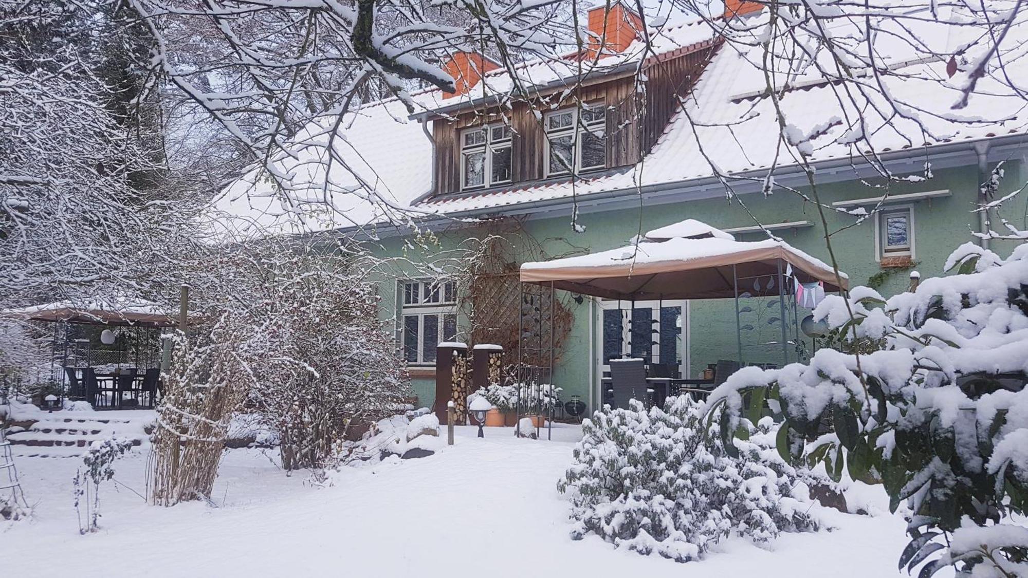 Ferienhaus Salvia Gremersdorf-Buchholz 外观 照片