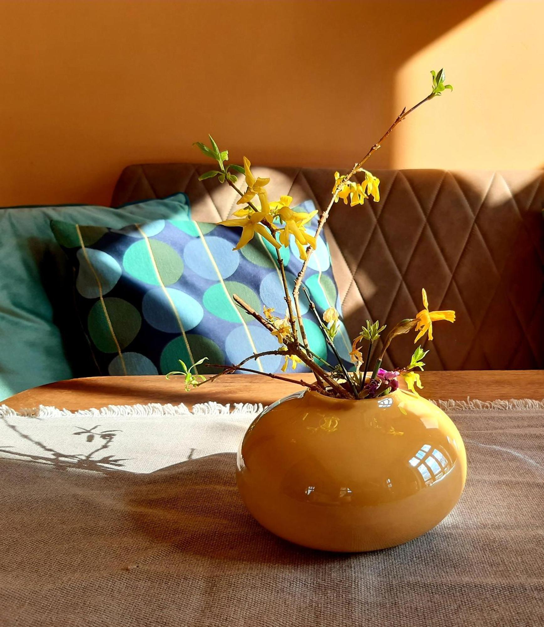 Ferienhaus Salvia Gremersdorf-Buchholz 外观 照片